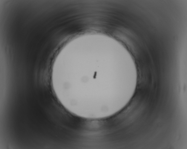 X0000096990828200802080917