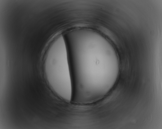 X0000096990829200802080917