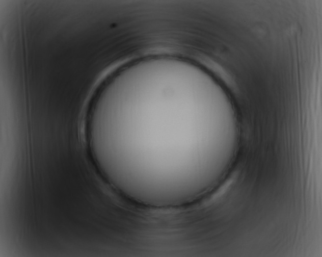 X0000096990830200802080918