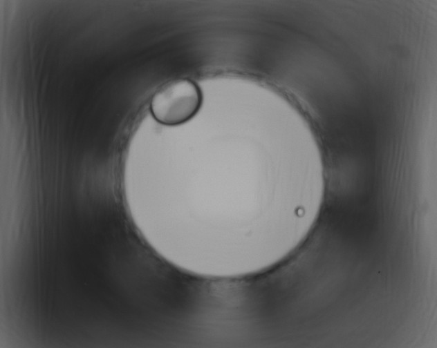 X0000096990832200802080918
