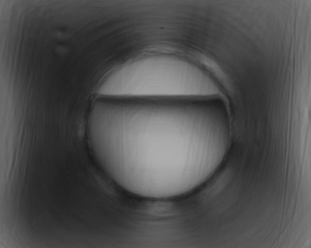 X0000096990833200802080918