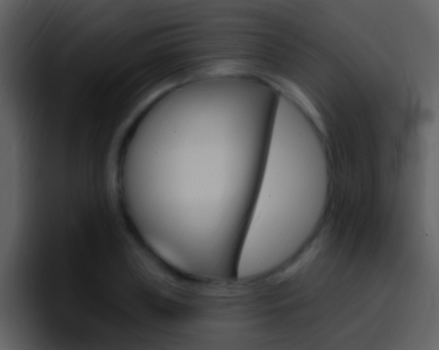 X0000096990835200802080918