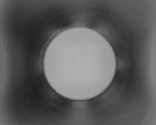 X0000096990836200802080918