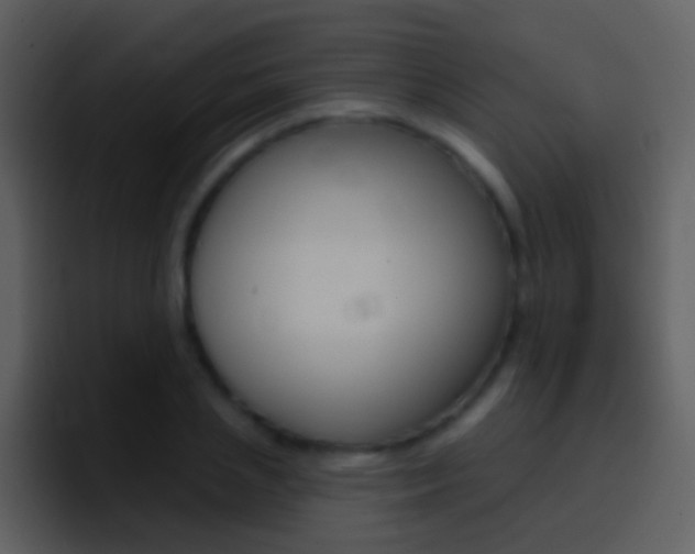 X0000096990837200802080918