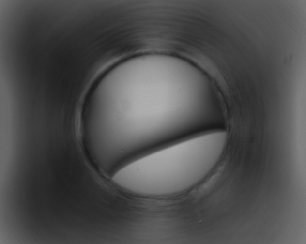 X0000096990838200802080918