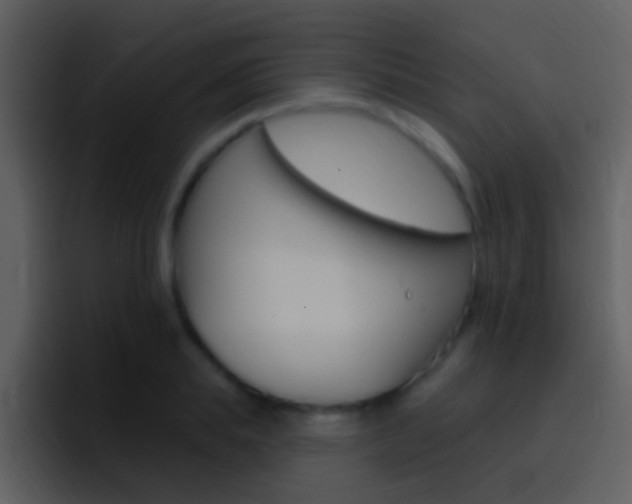 X0000096990839200802080918