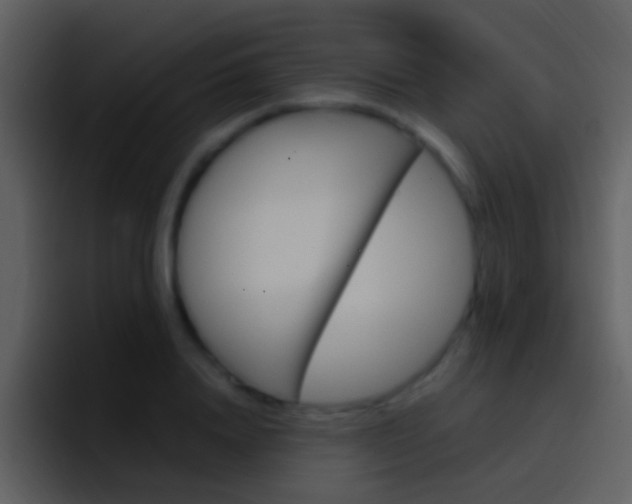 X0000096990840200802080918