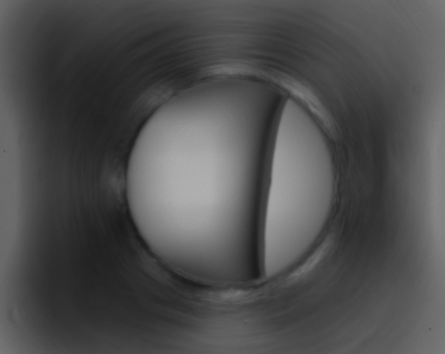 X0000096990841200802080918