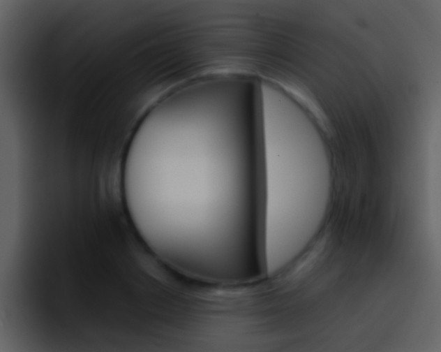 X0000096990842200802080918