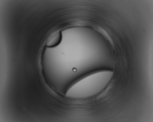 X0000096990843200802080918