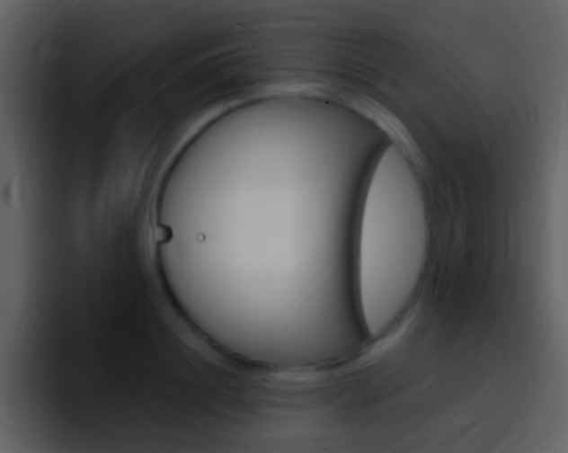 X0000096990844200802080918