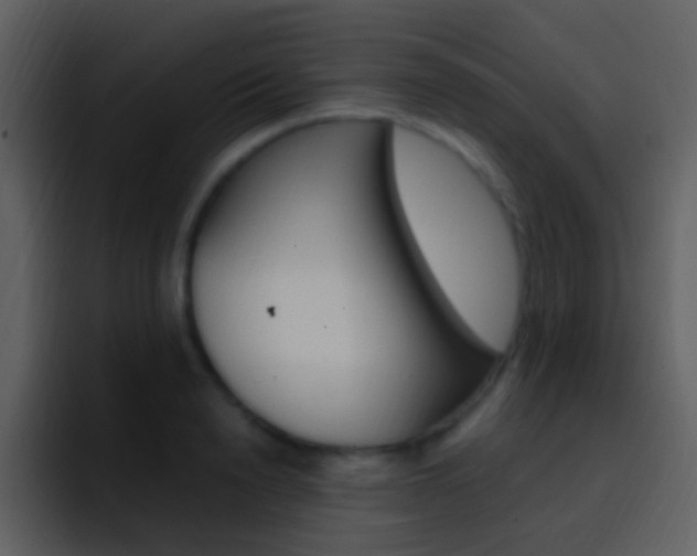X0000096990846200802080918