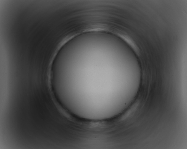X0000096990850200802080918