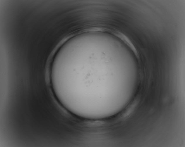 X0000096990851200802080918