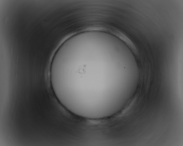 X0000096990852200802080918