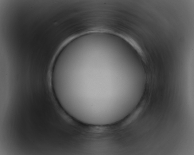 X0000096990854200802080918