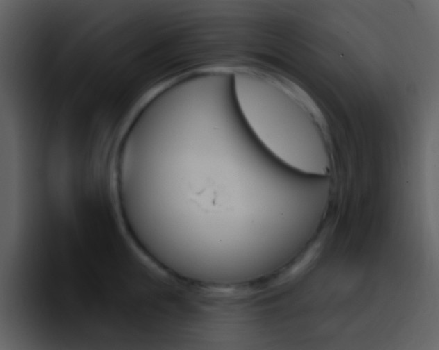 X0000096990855200802080918