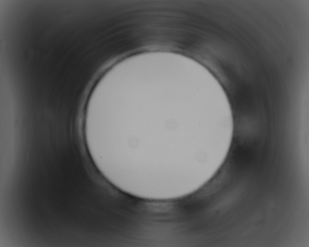 X0000096990856200802080918