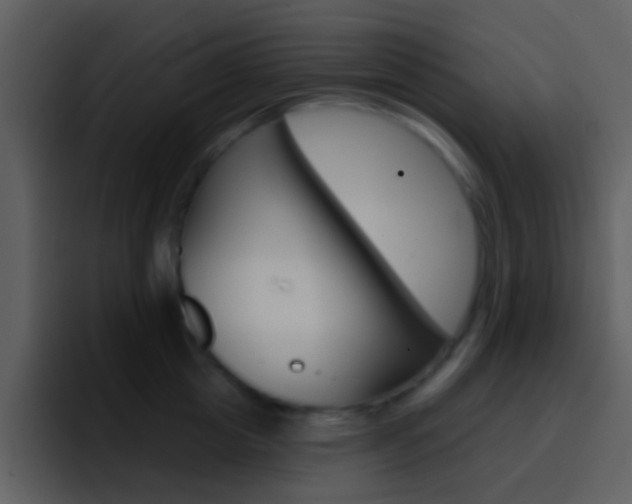 X0000096990857200802080918