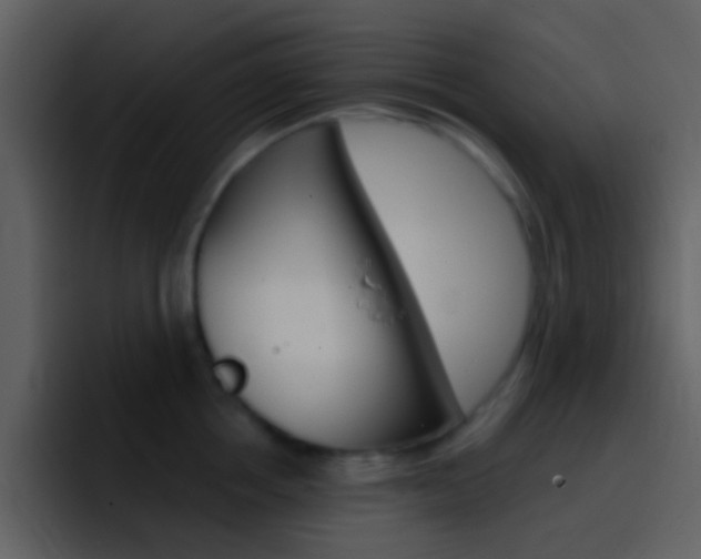 X0000096990858200802080918