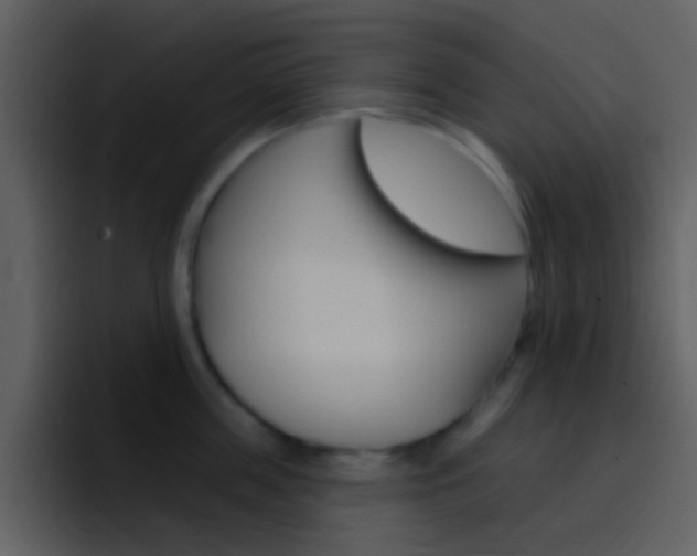 X0000096990859200802080918