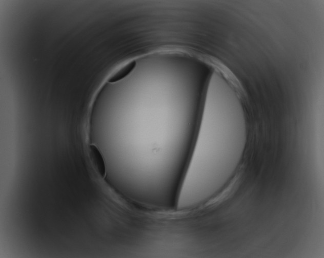 X0000096990860200802080918