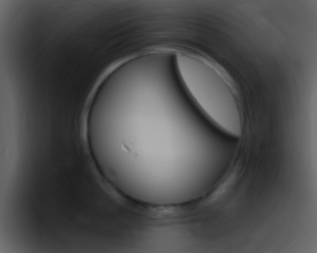 X0000096990862200802080918