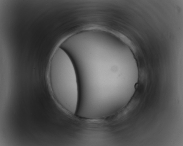 X0000096990863200802080918