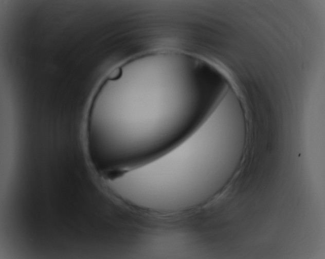 X0000096990864200802080918