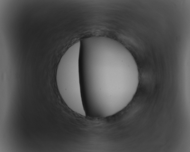 X0000096990865200802080917