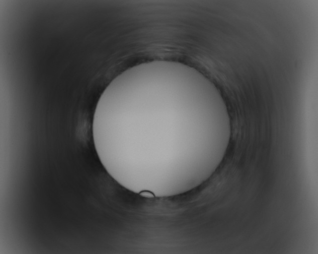 X0000096990866200802080917