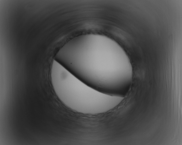 X0000096990869200802080917