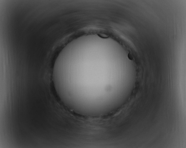 X0000096990870200802080917