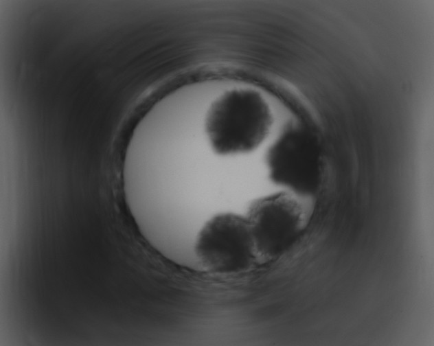 X0000096990871200802080917