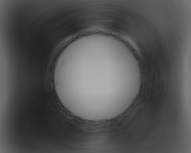 X0000096990872200802080917