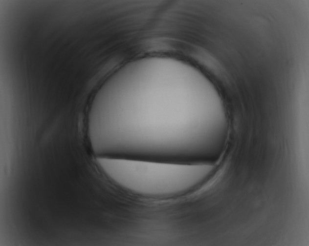 X0000096990873200802080917