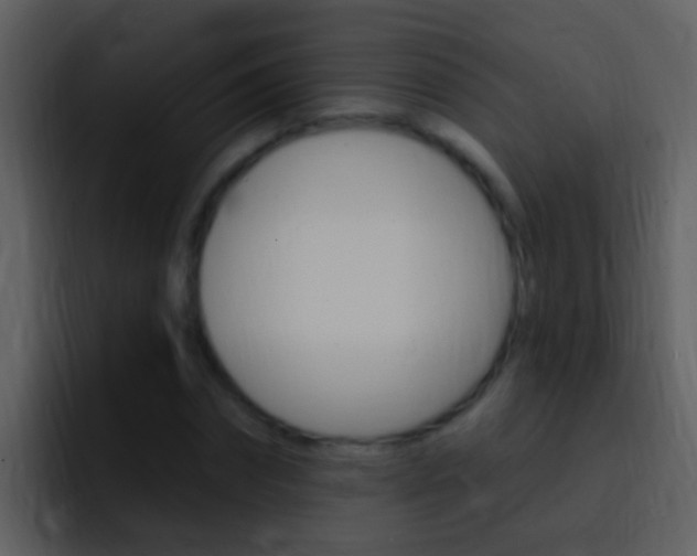 X0000096990874200802080917