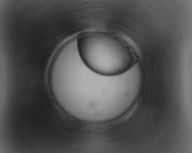 X0000096990876200802080917