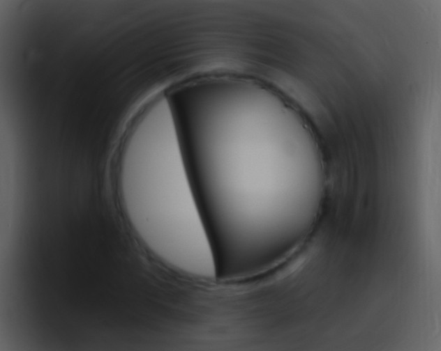 X0000096990877200802080917