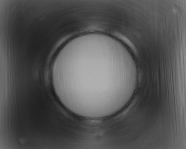 X0000096990878200802080917
