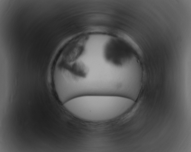 X0000096990883200802080917