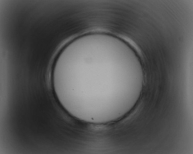 X0000096990886200802080917