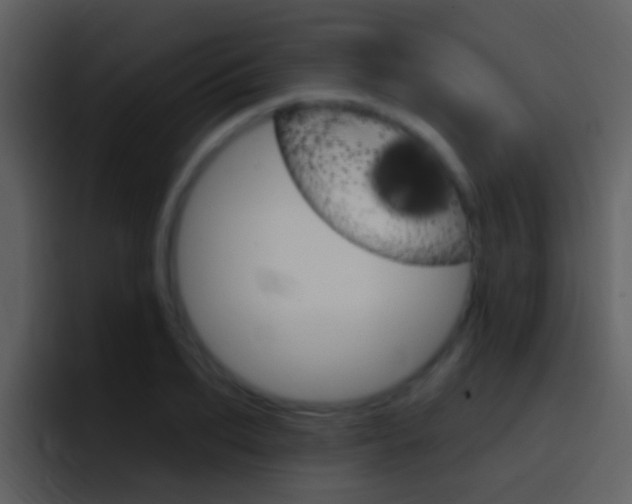 X0000096990887200802080917