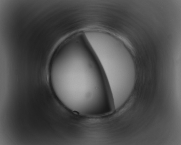 X0000096990888200802080917