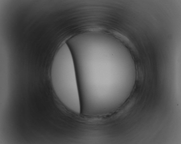 X0000096990889200802080917