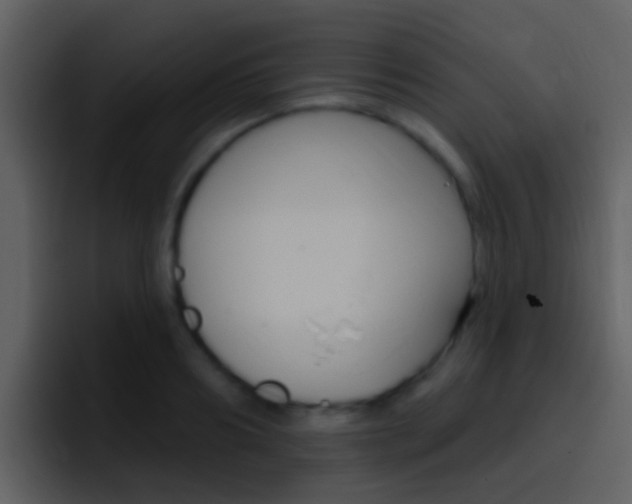 X0000096990890200802080917