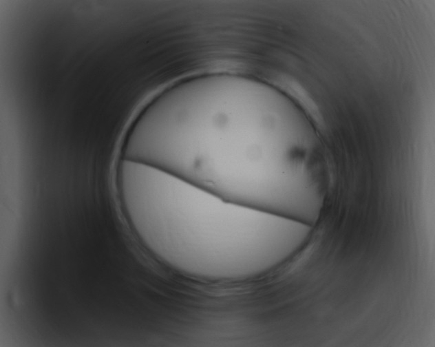 X0000096990891200802080917