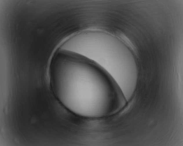 X0000096990892200802080917