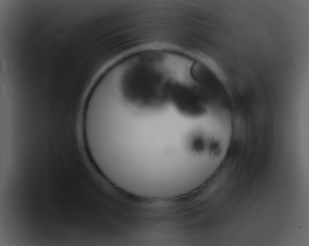 X0000096990895200802080917