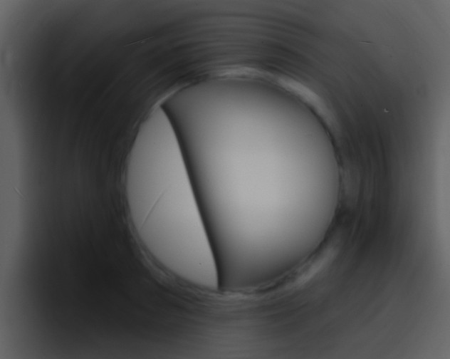 X0000096990897200802080917